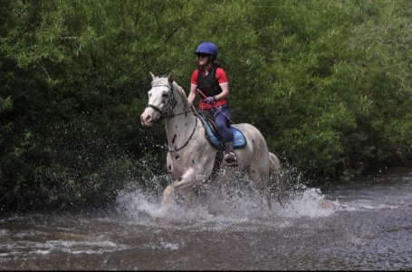 Screenshot_20230607_193437_Gallery.jpg Screenshot_20230607_193437_Gallery.jpg