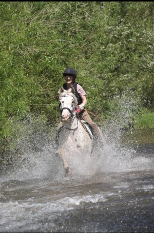 Screenshot_20230607_193515_Gallery.jpg Screenshot_20230607_193515_Gallery.jpg