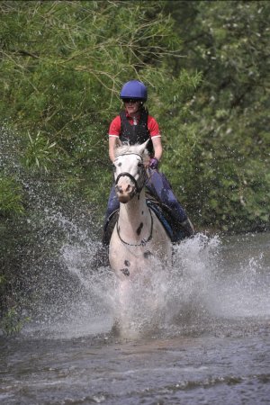 Screenshot_20230607_193406_Gallery.jpg Screenshot_20230607_193406_Gallery.jpg