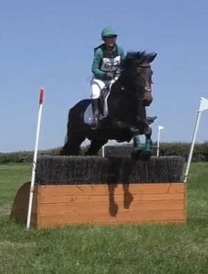 unnamed (4).jpg unnamed (4).jpg