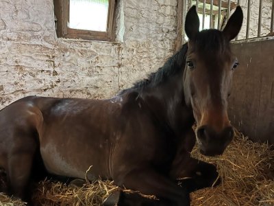 unnamed (5).jpg unnamed (5).jpg