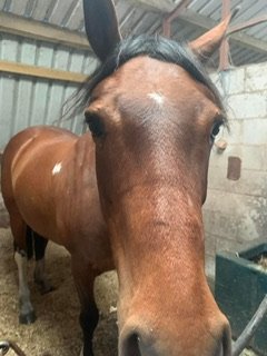 IMG_0265.jpeg IMG_0265.jpeg