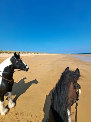 20230610_100849.jpg 20230610_100849.jpg