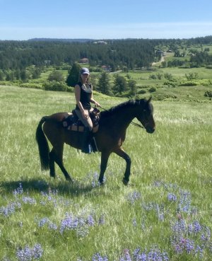 F1018047-1805-434D-8813-927C1D10A7B0.jpeg F1018047-1805-434D-8813-927C1D10A7B0.jpeg