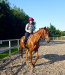 IMG-20190723-WA0013.jpg IMG-20190723-WA0013.jpg