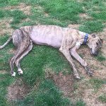 3FC910BC-D1EA-4CB6-AAC9-CB6667703DAE.jpeg 3FC910BC-D1EA-4CB6-AAC9-CB6667703DAE.jpeg