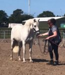 WhatsApp Image 2019-07-29 at 12.54.16.jpeg