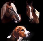 04-08-2019-11-04-14.jpg 04-08-2019-11-04-14.jpg