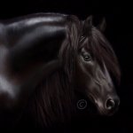 thumbnail_IMG_3152.jpg thumbnail_IMG_3152.jpg