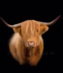 thumbnail_IMG_3178.jpg thumbnail_IMG_3178.jpg