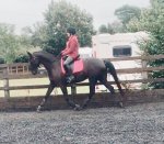 68472263_412125966075732_7096665112760549376_n(1).jpg 68472263_412125966075732_7096665112760549376_n(1).jpg