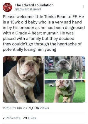 Screenshot_20230612_183905_Twitter.jpg Screenshot_20230612_183905_Twitter.jpg