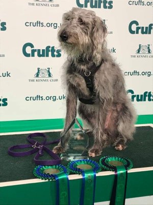 Lyra Crufts.jpeg