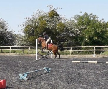 20220518_224057.jpg 20220518_224057.jpg