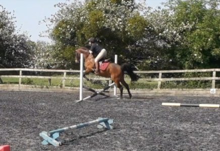 20220518_225158.jpg 20220518_225158.jpg