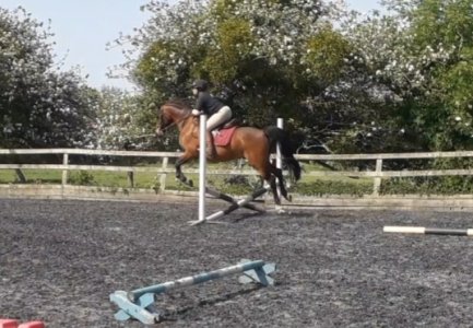 20220518_224931.jpg 20220518_224931.jpg