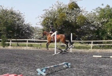 20220518_224954.jpg 20220518_224954.jpg