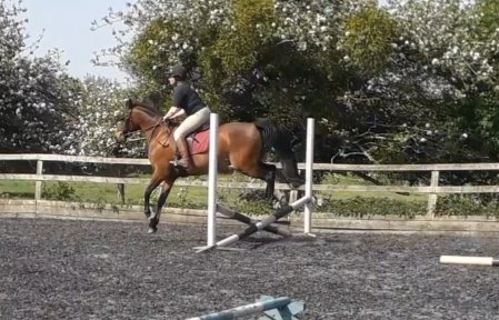 20220518_225320.jpg 20220518_225320.jpg