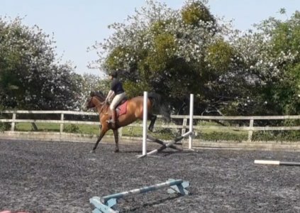 20220518_225032.jpg 20220518_225032.jpg