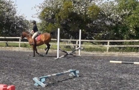 20220518_225225.jpg 20220518_225225.jpg