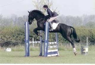 Show Jumping WR.jpg Show Jumping WR.jpg