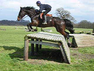 Scooby+Jump.jpg Scooby+Jump.jpg