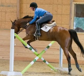 aHR0cHM6Ly9zY29udGVudC1sY3kxLTEueHguZmJjZG4ubmV0L3YvdDEuMTgxNjktOS8xOTU1NDgxMV84MTE4ODkxODEzMj...jpg aHR0cHM6Ly9zY29udGVudC1sY3kxLTEueHguZmJjZG4ubmV0L3YvdDEuMTgxNjktOS8xOTU1NDgxMV84MTE4ODkxODEzMj...jpg