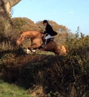 FB_IMG_1686762750389.jpg FB_IMG_1686762750389.jpg