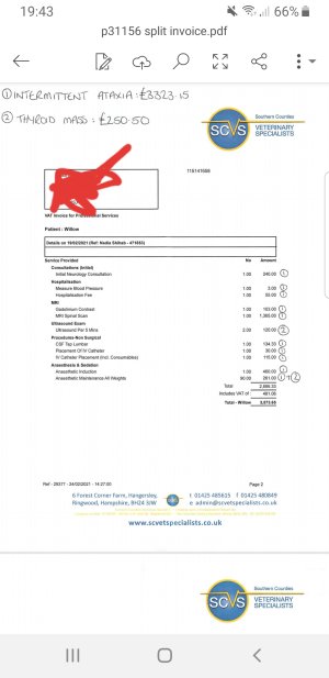 20230614_194358.jpg 20230614_194358.jpg