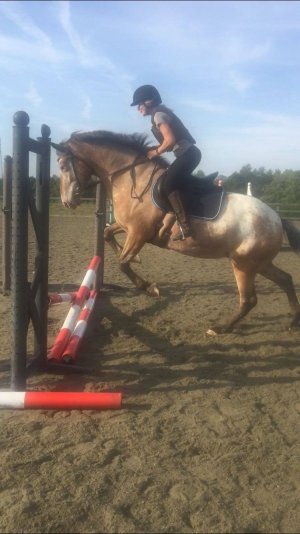 splodgy jumps.jpg splodgy jumps.jpg