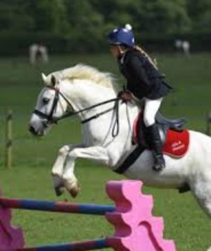 Screenshot_20230616_073028_Samsung Internet.jpg Screenshot_20230616_073028_Samsung Internet.jpg