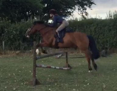 IMG_6505.jpeg IMG_6505.jpeg