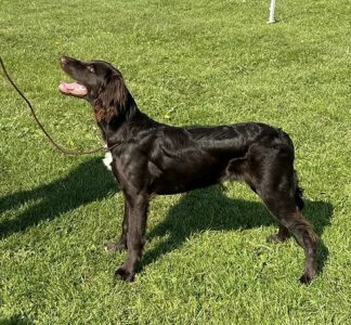 CCD75E90-4DA1-40C3-82A3-703B9DC219C7.jpeg CCD75E90-4DA1-40C3-82A3-703B9DC219C7.jpeg