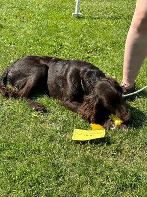 251FE7C4-D980-4D58-B02E-11FE6DFFCA94.jpeg 251FE7C4-D980-4D58-B02E-11FE6DFFCA94.jpeg