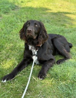 FDB62089-39C7-4BB9-B953-412DE99C6616.jpeg FDB62089-39C7-4BB9-B953-412DE99C6616.jpeg