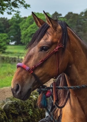 354237647_10101136201704575_7308389255809734963_n.jpg 354237647_10101136201704575_7308389255809734963_n.jpg