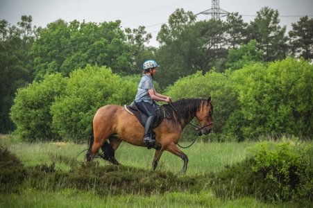 354591121_10101136202453075_3269819035358730629_n.jpg 354591121_10101136202453075_3269819035358730629_n.jpg