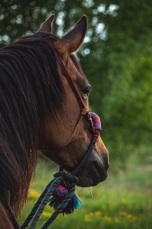 354220030_10101136202063855_6526828131804040762_n.jpg 354220030_10101136202063855_6526828131804040762_n.jpg