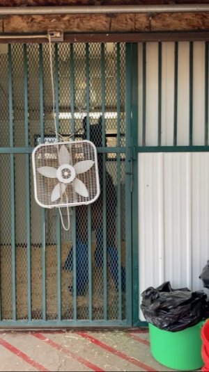 1B078028-CAAC-4119-A736-E26E8CD9C60A.jpeg 1B078028-CAAC-4119-A736-E26E8CD9C60A.jpeg