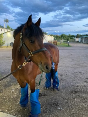 043575F7-CAAF-401F-8740-4A9BA8D76AB3.jpeg 043575F7-CAAF-401F-8740-4A9BA8D76AB3.jpeg