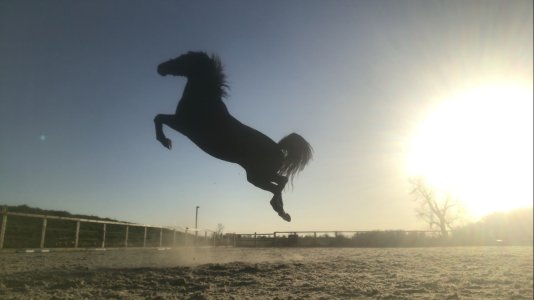 EBD73369-B949-4C2C-9307-F0B6362DBEAF.jpeg EBD73369-B949-4C2C-9307-F0B6362DBEAF.jpeg