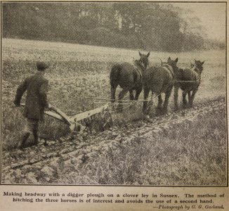 sfj_ploughing_single_horse_04.jpg