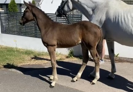 IMG_0128.jpeg IMG_0128.jpeg