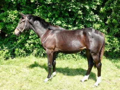 IMG_1348.jpeg IMG_1348.jpeg