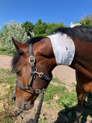 EAA237F8-FB4B-49E7-8034-077829F68DAD.jpeg EAA237F8-FB4B-49E7-8034-077829F68DAD.jpeg