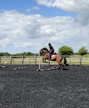 IMG_7835.jpeg IMG_7835.jpeg