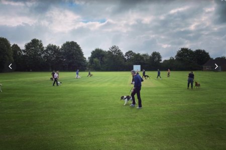 IMG_3852.jpeg IMG_3852.jpeg