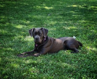 Screenshot_20230626_110214_Instagram.jpg Screenshot_20230626_110214_Instagram.jpg