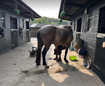 1687813558826.png 1687813558826.png