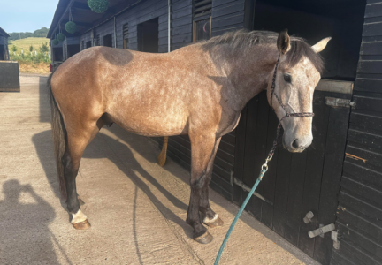 1687814052291.png 1687814052291.png